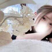 ヒメ日記 2026/04/28 17:02 投稿 白雪ゆい 水戸ソープ アイドル彼女