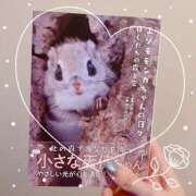 ヒメ日記 2025/07/15 15:00 投稿 あずさ eroina