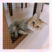 ヒメ日記 2025/08/20 17:01 投稿 あずさ eroina