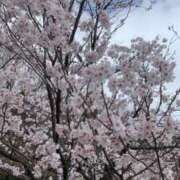 さきら 火って見てると癒されるよね🤍 日暮里・西日暮里サンキュー