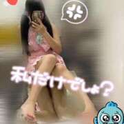 ヒメ日記 2025/03/26 13:54 投稿 みみ 極楽城(ゴクラクジョウ)