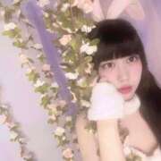 ヒメ日記 2025/06/02 10:55 投稿 みみ 極楽城(ゴクラクジョウ)