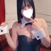 ヒメ日記 2025/11/10 09:47 投稿 みみ 極楽城(ゴクラクジョウ)