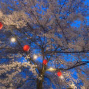 ヒメ日記 2025/04/14 21:31 投稿 ねる 熟女の風俗最終章 宇都宮店