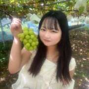 ヒメ日記 2025/09/05 19:44 投稿 にこ 桃李（とうり）