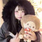 ヒメ日記 2025/11/13 03:04 投稿 にこ 桃李（とうり）