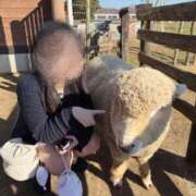 にこ ふっ 桃李（とうり）