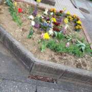 ヒメ日記 2025/04/15 14:34 投稿 りな 美熟女倶楽部Hip's 春日部店