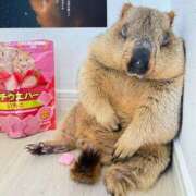 ヒメ日記 2025/04/17 20:14 投稿 りな 美熟女倶楽部Hip's 春日部店