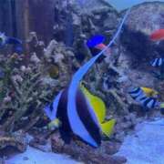 ヒメ日記 2025/06/17 19:14 投稿 りな 美熟女倶楽部Hip's 春日部店