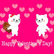 ヒメ日記 2026/02/14 20:04 投稿 りな 美熟女倶楽部Hip's 春日部店