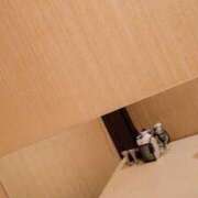 ヒメ日記 2025/05/02 19:33 投稿 甘露寺　ななみ 三ツ星Class