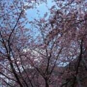 ヒメ日記 2025/05/14 07:18 投稿 甘露寺　ななみ 三ツ星Class