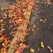ヒメ日記 2025/11/07 10:18 投稿 甘露寺　ななみ 三ツ星Class