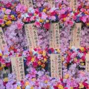 ヒメ日記 2025/04/16 10:08 投稿 はな しゅうかつ倶楽部