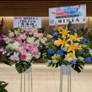 ヒメ日記 2025/05/04 09:32 投稿 はな しゅうかつ倶楽部