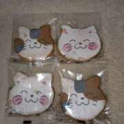 ヒメ日記 2025/05/09 06:54 投稿 はな しゅうかつ倶楽部