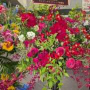 ヒメ日記 2025/05/09 22:03 投稿 はな しゅうかつ倶楽部