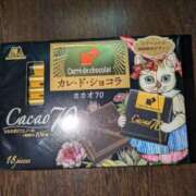 ヒメ日記 2025/05/13 10:49 投稿 はな しゅうかつ倶楽部