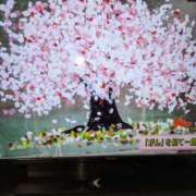 ヒメ日記 2025/05/19 13:32 投稿 はな しゅうかつ倶楽部