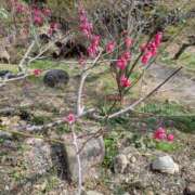 はな 三連休出勤します😊 しゅうかつ倶楽部