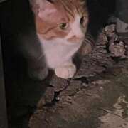 ヒメ日記 2025/07/16 15:16 投稿 まお 新潟デリヘル倶楽部