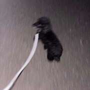 まお 最近のマイブーム 新潟デリヘル倶楽部