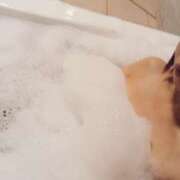 ヒメ日記 2025/05/05 00:16 投稿 みほ 人妻本舗愛のしずく名古屋店