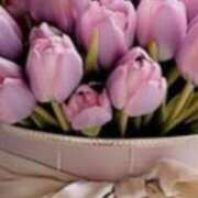 ヒメ日記 2025/04/02 23:08 投稿 大西とうこ 五十路マダム 浜松店(カサブランカグループ)