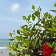 ヒメ日記 2025/08/06 08:21 投稿 ももか☆最高な素人入店♪ 五十路有閑マダム～沖縄店～