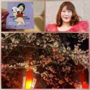 月宮【つきみや】 ライバー🩷 丸妻 西船橋店