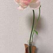 ヒメ日記 2025/03/25 20:11 投稿 はな パンスト熟女はいやらしい