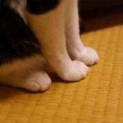 ヒメ日記 2025/11/08 12:08 投稿 はな パンスト熟女はいやらしい