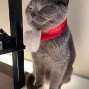 ヒメ日記 2025/11/23 01:41 投稿 はな パンスト熟女はいやらしい