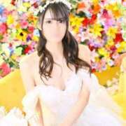 ヒメ日記 2025/04/17 16:35 投稿 らむ 若葉