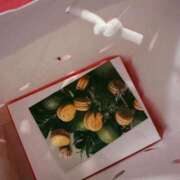 ヒメ日記 2025/08/29 23:25 投稿 らむ 若葉