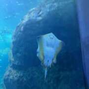 ヒメ日記 2025/05/14 15:31 投稿 映-えい【FG系列】 ほんとうの人妻 厚木店【FG系列】