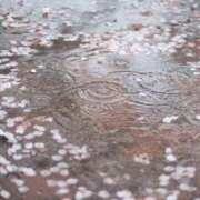 ヒメ日記 2026/04/17 21:00 投稿 映-えい【FG系列】 ほんとうの人妻 厚木店【FG系列】