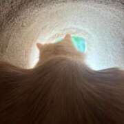 ヒメ日記 2025/04/28 17:25 投稿 姫宮はなの ザイオン 会員制アロマエステ