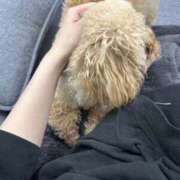 ヒメ日記 2025/04/06 21:55 投稿 しほ でりどす