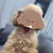 ヒメ日記 2025/04/21 22:33 投稿 しほ でりどす