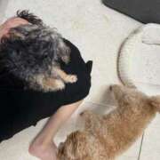 ヒメ日記 2025/08/17 12:15 投稿 しほ でりどす