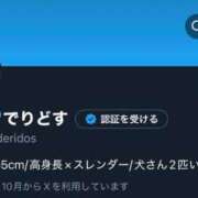 ヒメ日記 2025/11/01 14:15 投稿 しほ でりどす