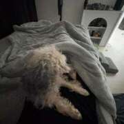 ヒメ日記 2025/11/17 14:15 投稿 しほ でりどす