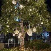 ヒメ日記 2025/12/22 20:03 投稿 しほ でりどす