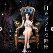 ヒメ日記 2026/03/08 16:01 投稿 しほ でりどす