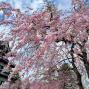 りあ★ 行って来ました🌸 恵里亜(エリア)