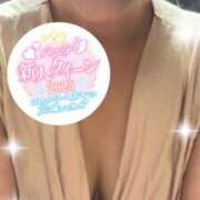 ヒメ日記 2025/07/23 08:40 投稿 藤崎 きみか SUMIRE