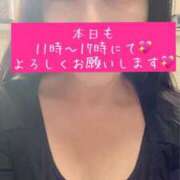 ヒメ日記 2026/03/01 08:58 投稿 藤崎 きみか SUMIRE