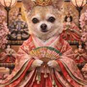 ヒメ日記 2026/03/03 21:42 投稿 藤崎 きみか SUMIRE